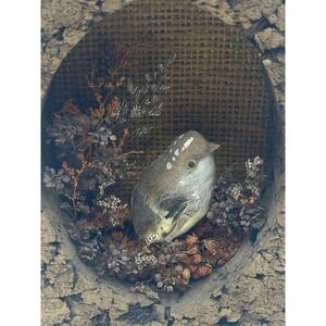 70s Nature Craft Cork‎ Diorama Bird Rustic Woodland Decor Sparrow